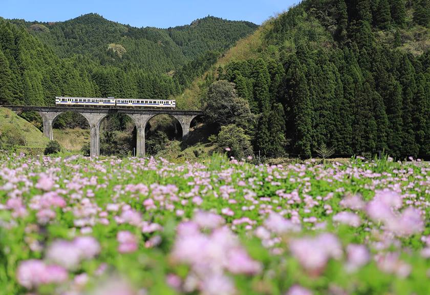 Country train crossing a bridge - sample photo by Canon EOS 6D Mark II