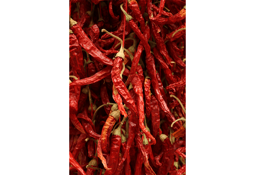 Macro image of chili peppers taken with EOS 90D