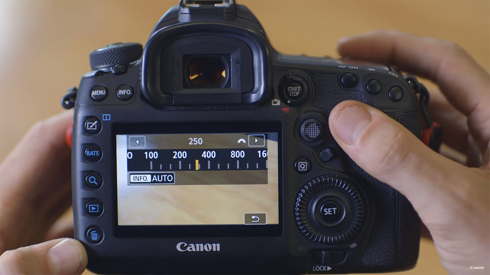 Setting Up Your Canon Camera for Video Shooting
