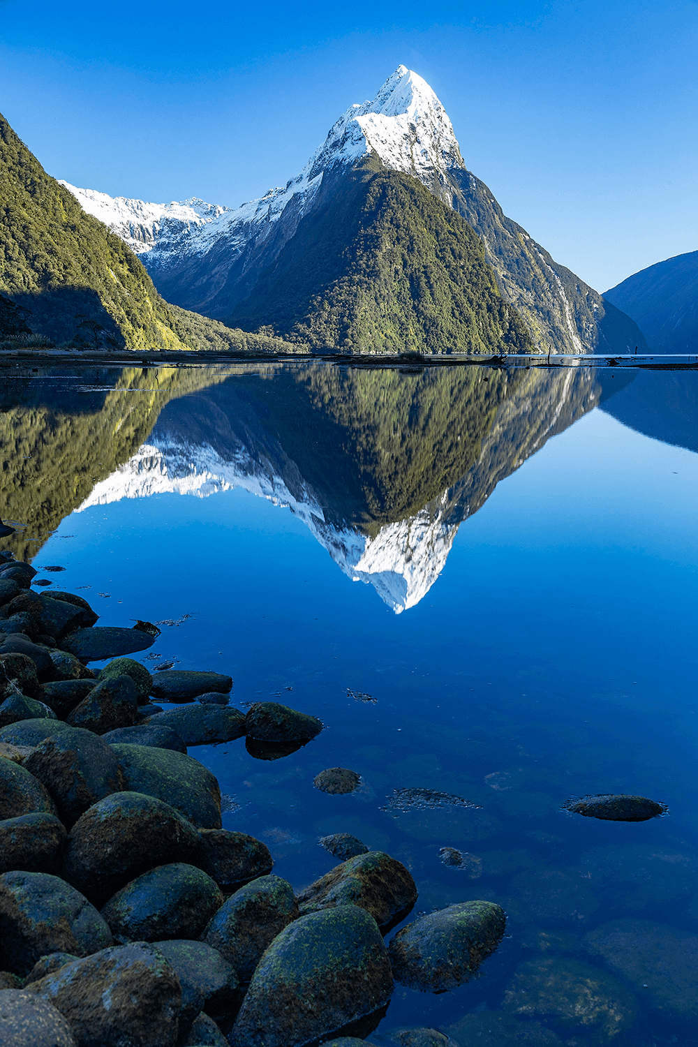 Image of New Zealand mountains by @Jamessmartphotography