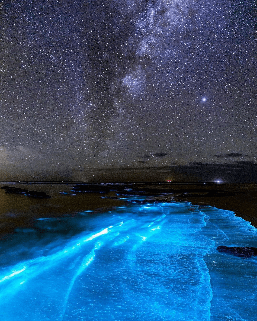 Image of bioluminescent algae taken on Anzac Day 2020 by @jordan_robins