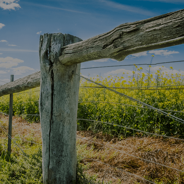 Image of a fence by Aiden Mackey