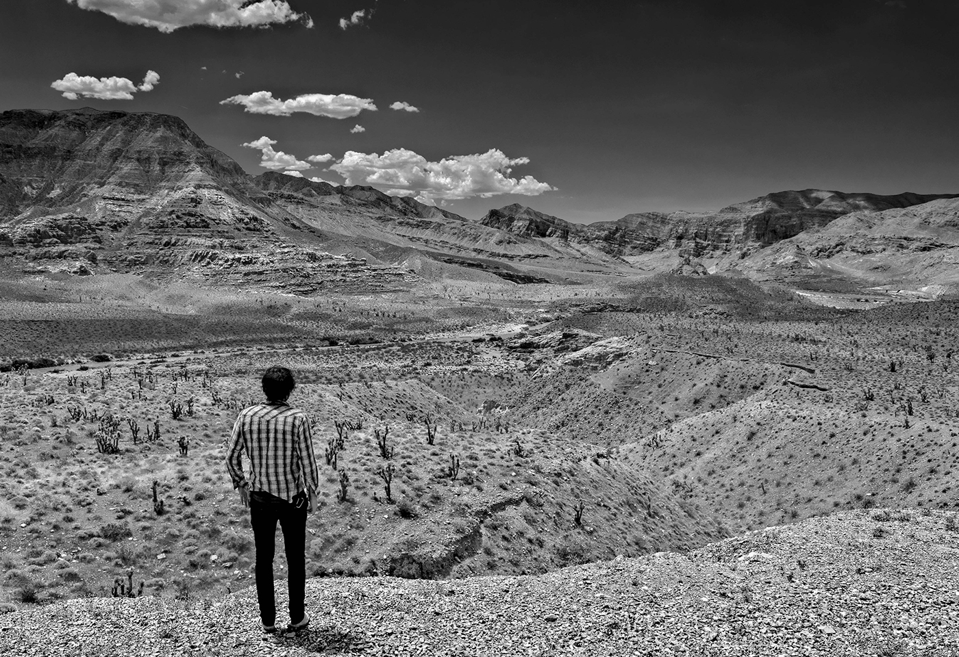 EnviroMgmtSamWaldron