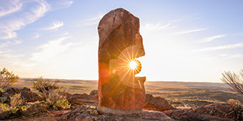 Image of Living Desert Sculpture by Jenn Cooper, Canon Oceania Employee, taken on a Canon EOS R5