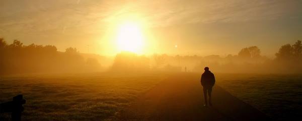 Australian Business Readiness Index Security