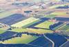 Bird's eye view of a field