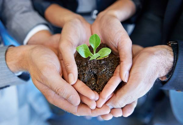 People with hands together holding soil and plant