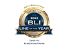 Real Estate solutions BLI award image