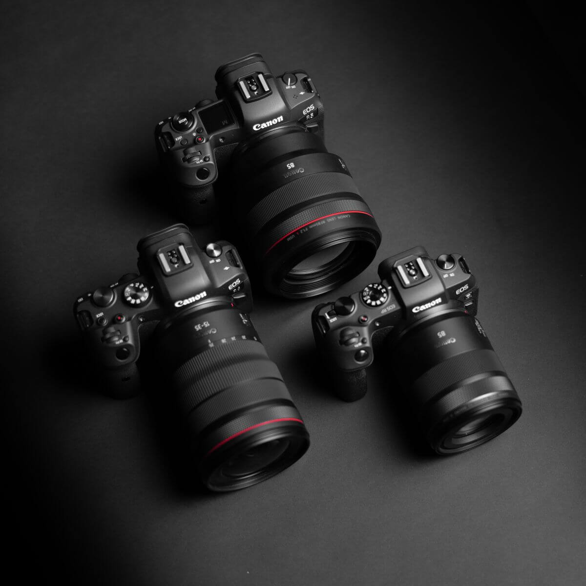 EOS cameras with RF lenses