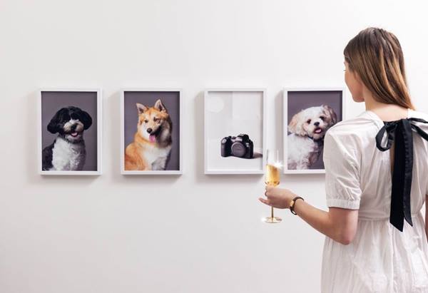 Gallery of pet portraits taken using Canon EOS R6 Mark II