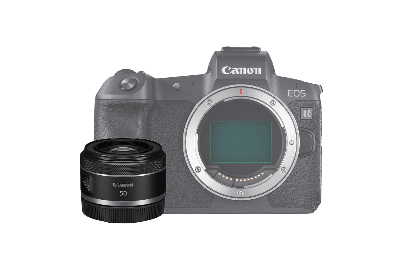 EOS R Limited Edition Kit with RF 50mm f/1.8 STM Lens