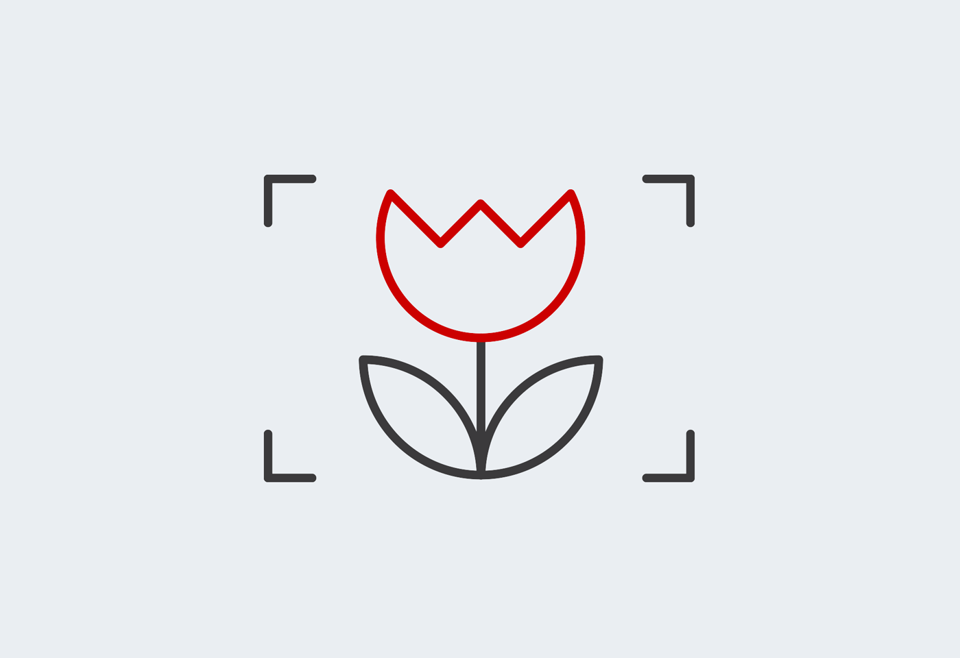 Macro icon