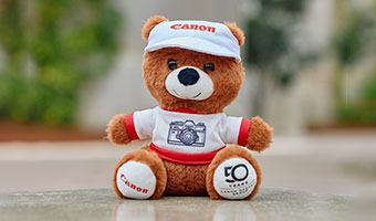 Limited Edition Canon bear