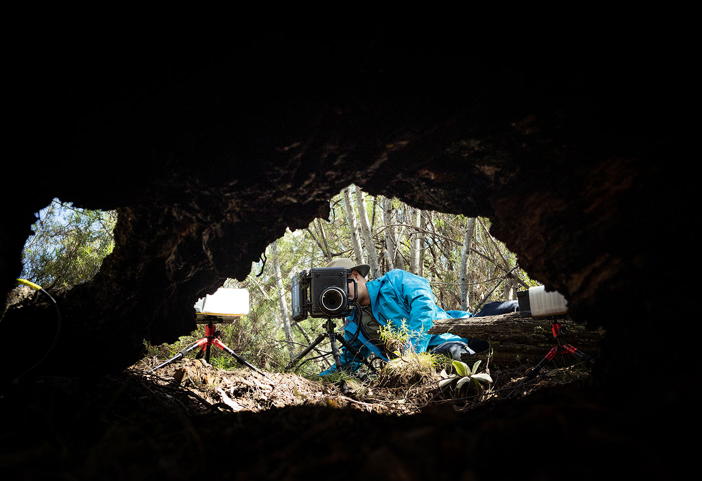 Image by Alex Pike for Remember the Wild, 2022 Environment Grant AU Winner