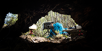 mage by Alex Pike for Remember the Wild, 2022 Environment Grant AU Winner