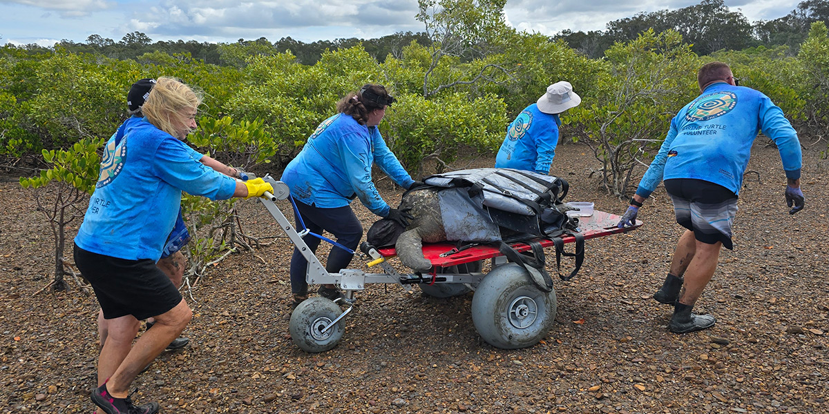 Environment Finalist Image for Canon Oceania Grants Australia 2026