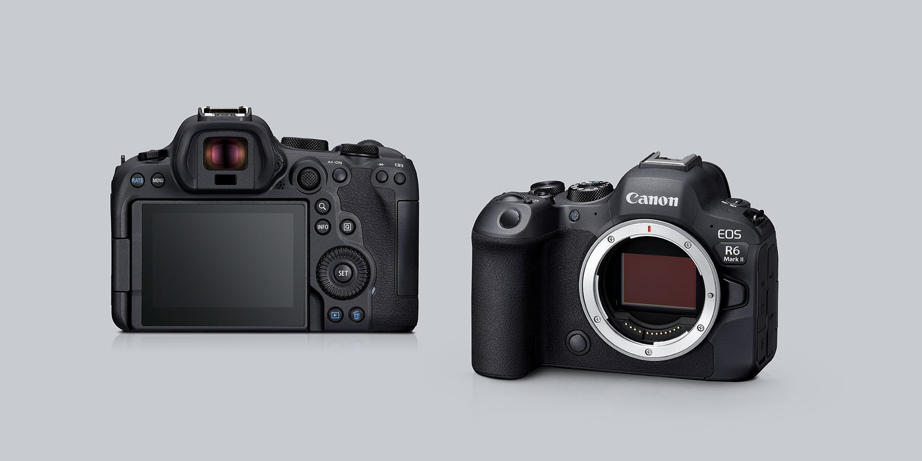 EOS R6 Mark II | Canon Australia