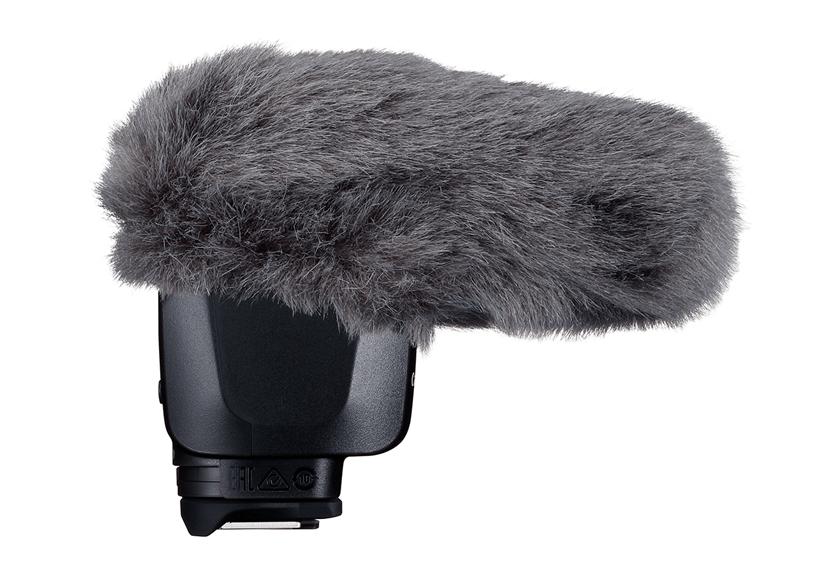 Right side profile image of Directional Stereo Microphone DM-E1D with windscreen