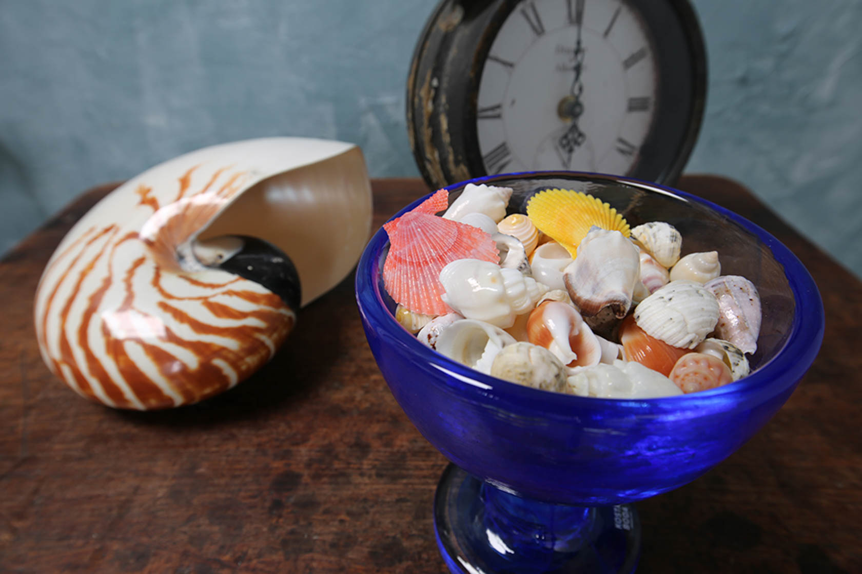 Image of shells in a bowl and a clock taken with the Canon EF 11-24mm f4L USM wide zoom lens