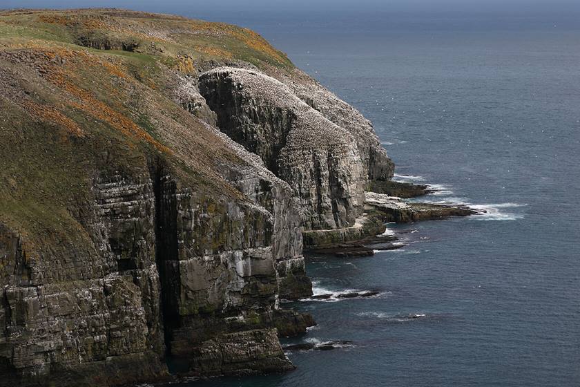 Sea cliffs