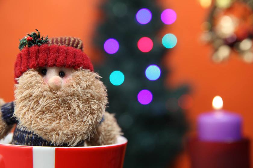 Image of a christmas rag doll taken using EF 24-70mm f/2.8L II USM