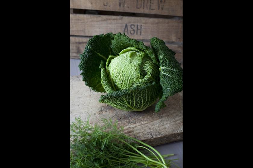 Image of lettuce taken using EF 500mm f/1.4 USM