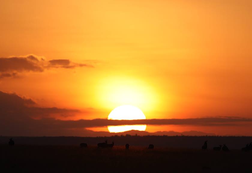 Photograph of sunset taken with EF 600mm f/4L IS III USM Lens