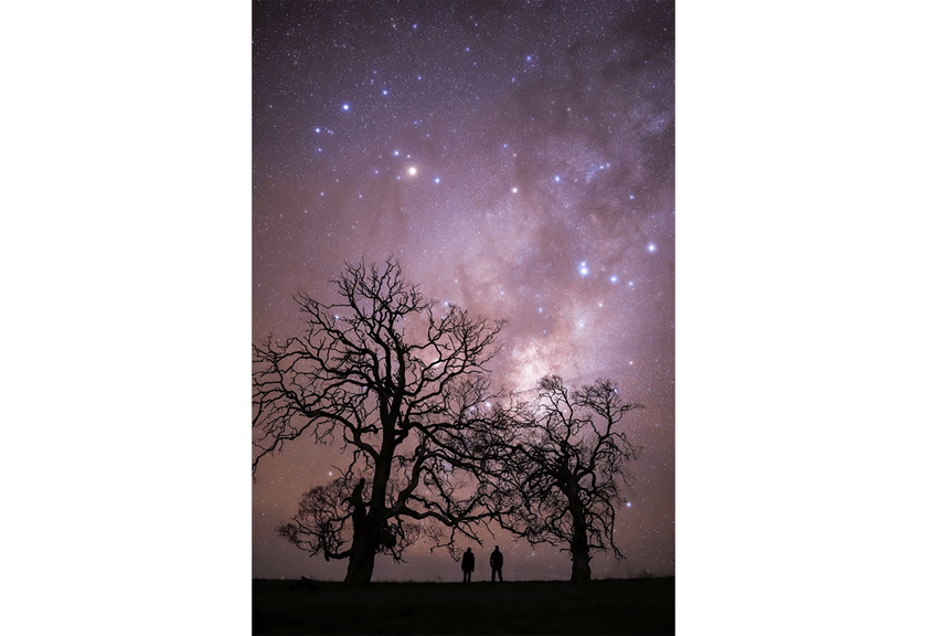 Astrophotography image of stars and sillhouettes of two people between trees - sample photo by Canon EOS 6D Mark II