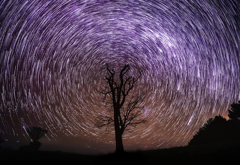 Long exposure image of star trails over silhouette of a tree - sample photo by Canon EOS 6D Mark II