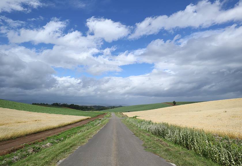 EOS M50 Mark II Canon Australia