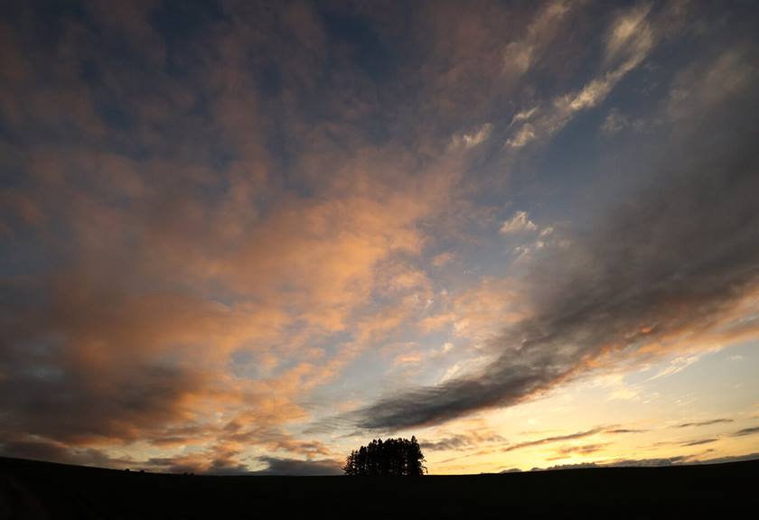 EOS M50 Mark II Canon Australia