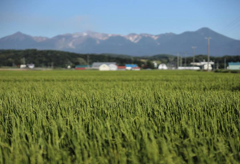 EOS R Specifications & Sample Images Canon Australia