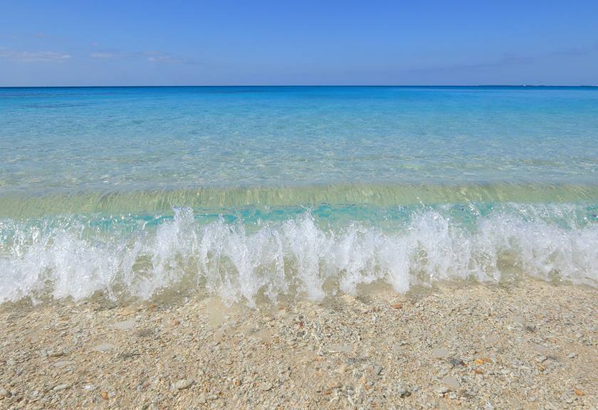 Image of the shoreline taken using the EOS R100