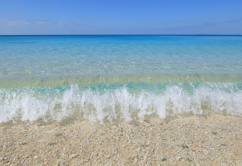 Image of the shoreline taken using the EOS R100