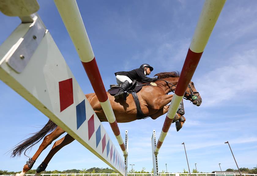 Image of an equestrian in action taken using the EOS R6 Mark II mirrorless camera