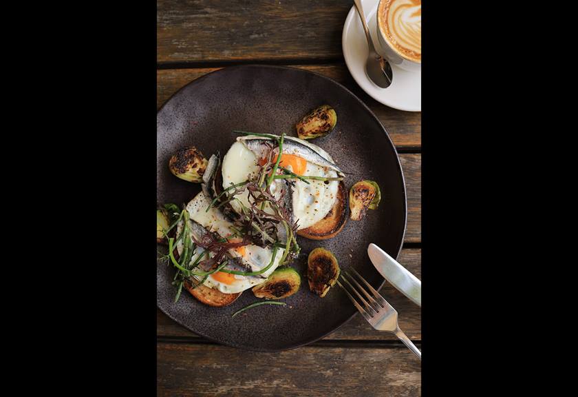 Food photography