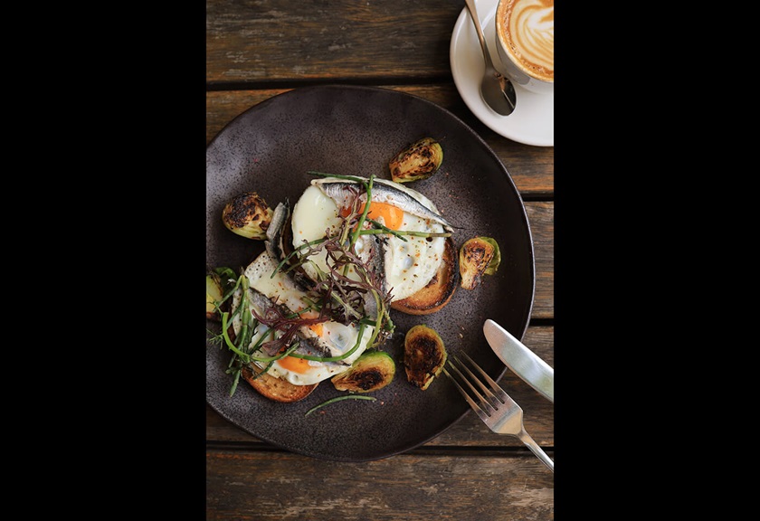 Food photography