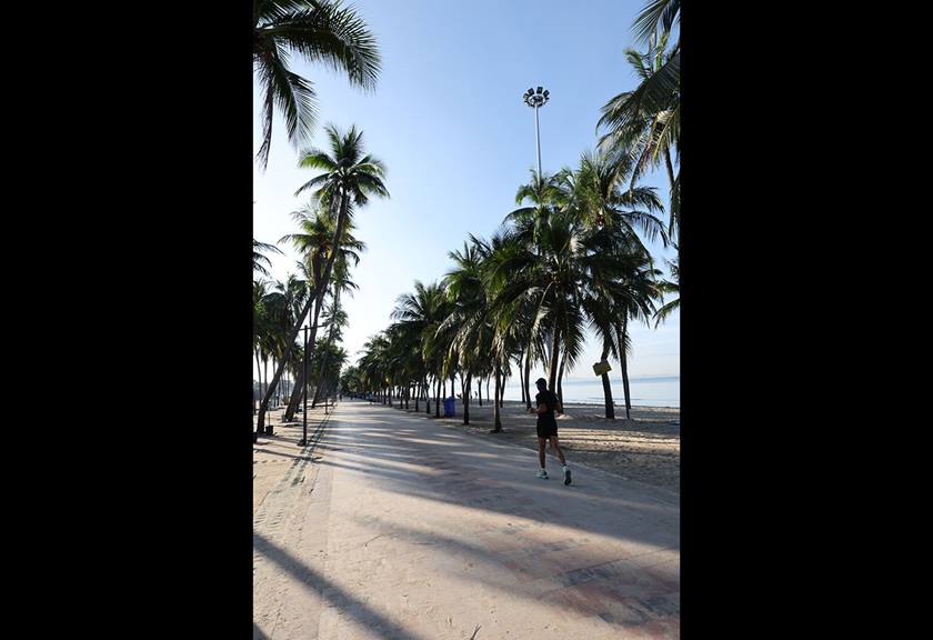 Image of a street with palm trees taken using the RF 20mm f/1.4L VCM prime lens