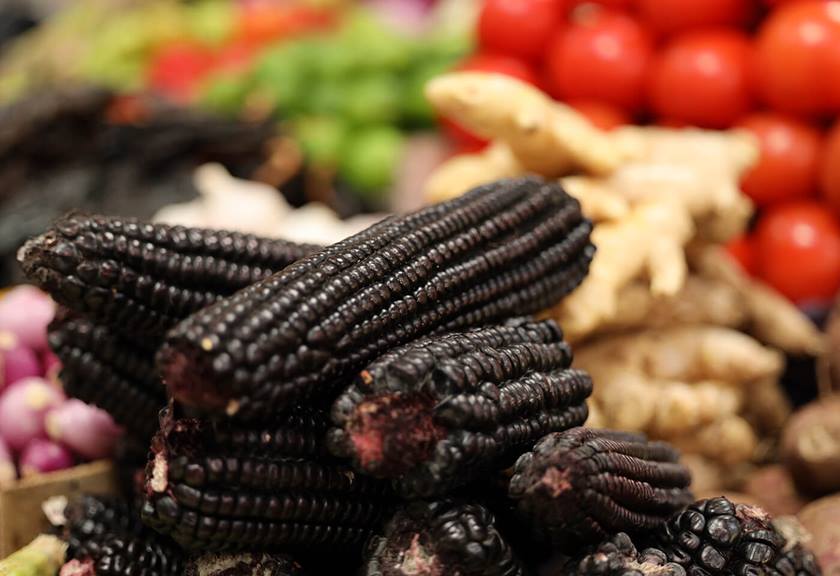 Image of black corn taken using RF 70-200mm f2.8 L IS USM telephoto lens