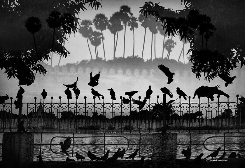 Image by Canon Master Jackie Ranken