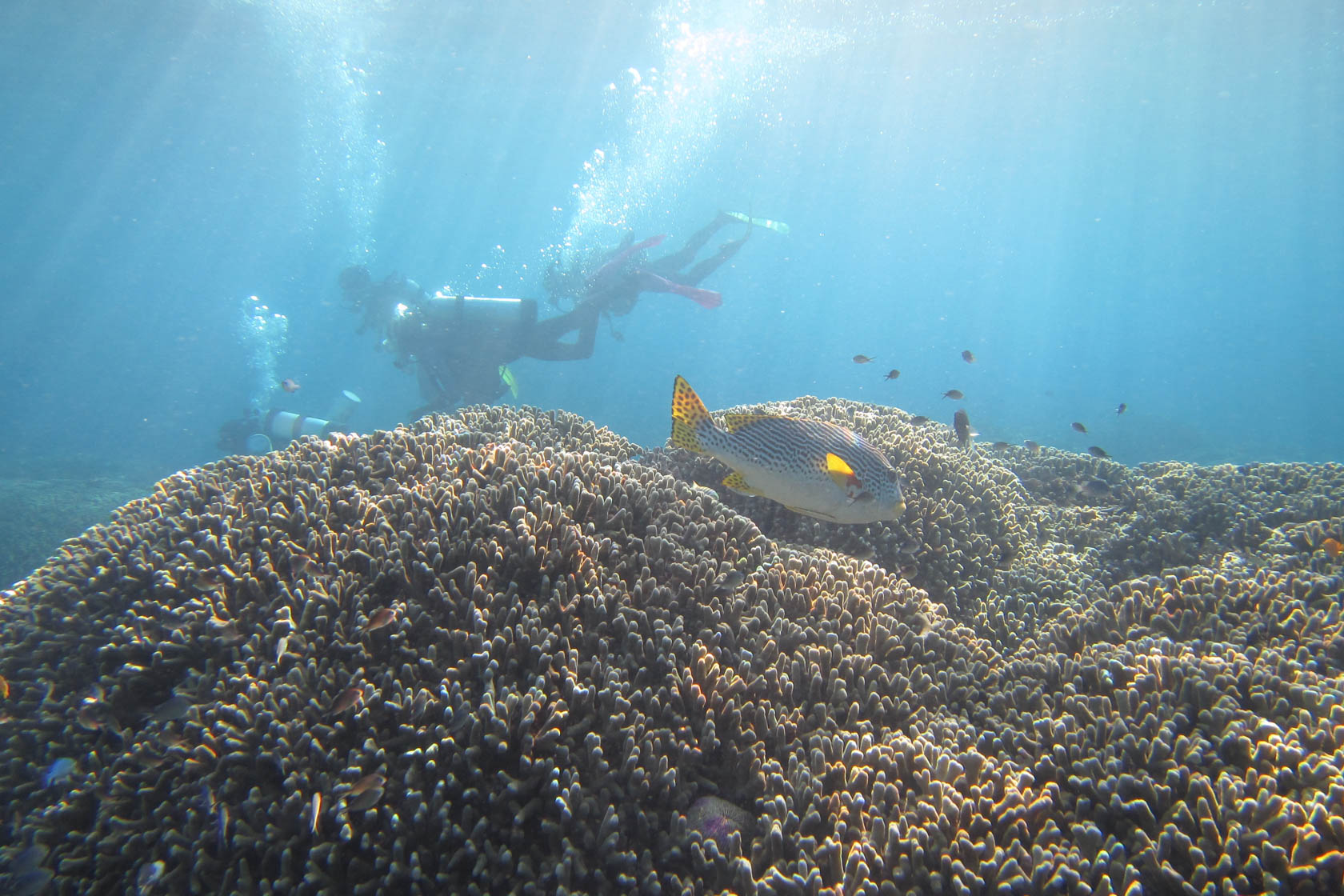 PowerShot D30 Underwater Camera Canon Australia