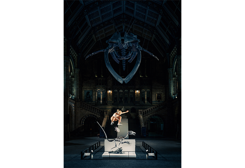 Dinosaur skeleton at the Natural History Museum in London taken by Lorenz Holder