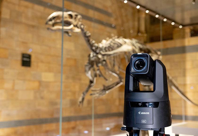 Canon CR-N500 PTZ camera in front of a dinosaur skeleton