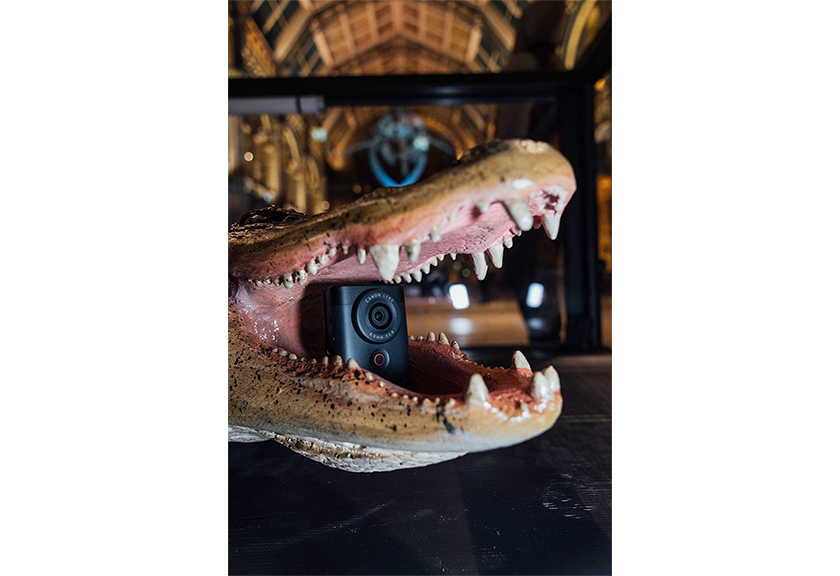 Canon PowerShot V10 inside the mouth of a crocodile