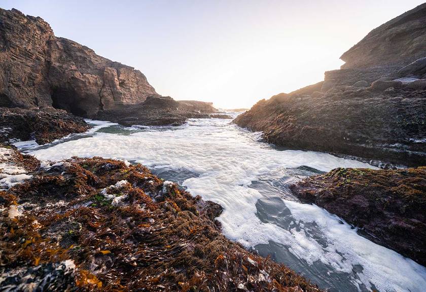 Image of foamy river