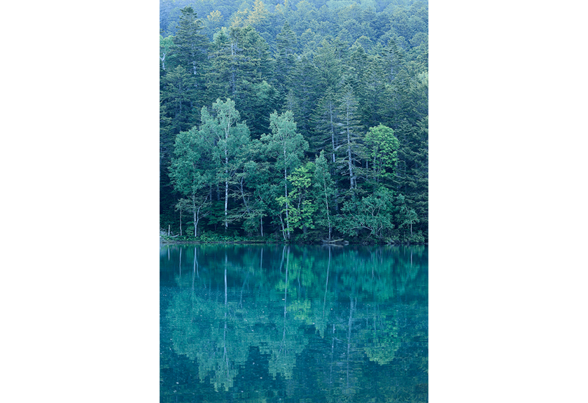 Image of trees on a lake shot using RF 100-400mm F5.6-8 IS USM telephoto lens