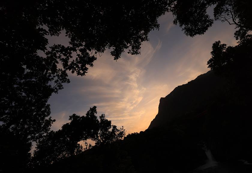 Image of the sky under the trees taken with RF 14-35mm f/4 L IS USM wide angle lens