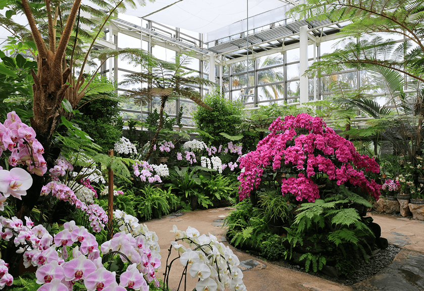 Image of flower garden taken using the RF 15-30mm f/4.5-6.3 IS STM wide angle lens
