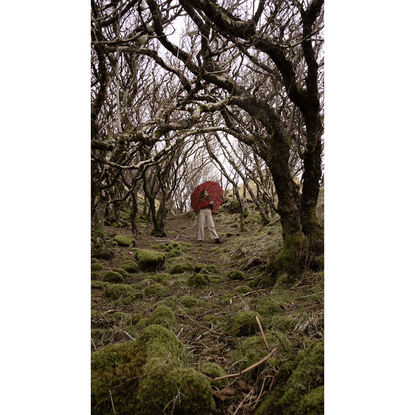Image of a girl with red tartan umbrella in forest between scraggly trees