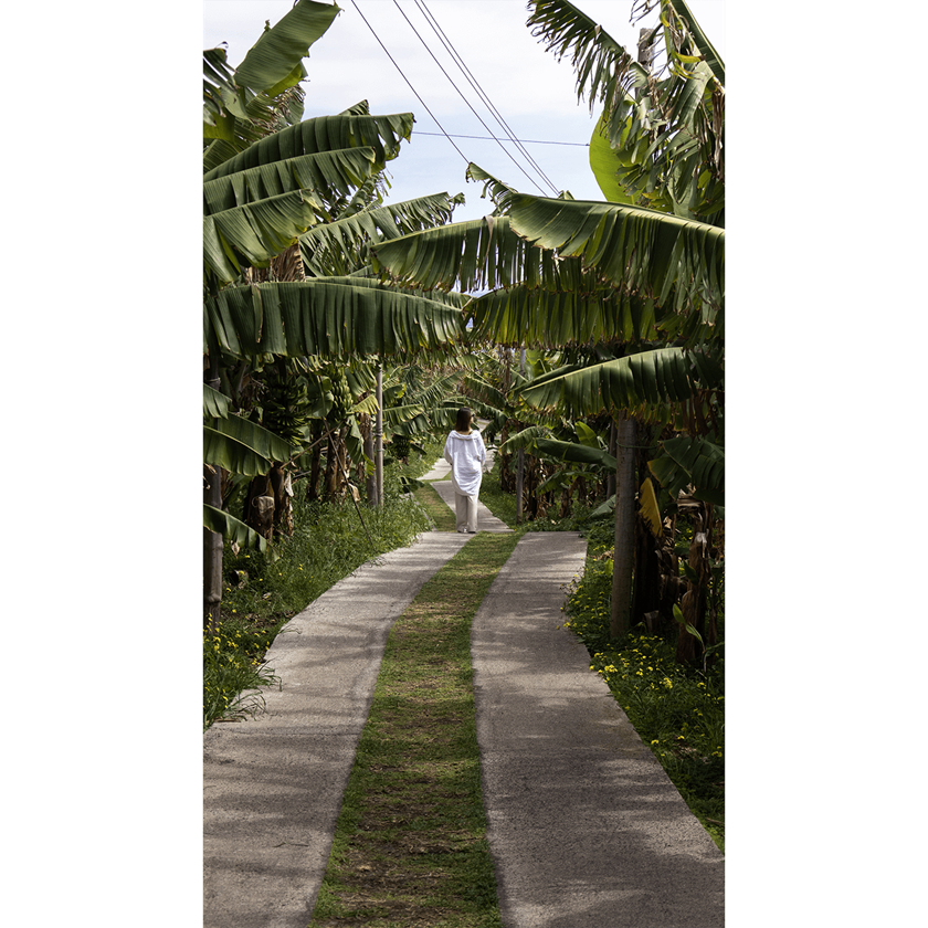 Image of a girl in white walking through row of green banana trees 